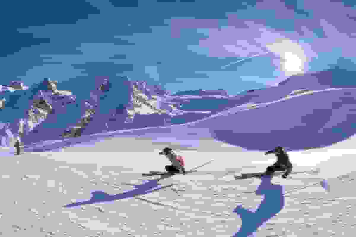 سقوط بهمن؛ تیم ملی اسکی در سلامت کامل است