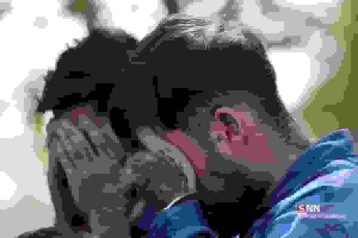 دستگیری سارقان گوشی دانشجو: اعتراف به سرقت به دلیل مشاهده گوشی مرغوب