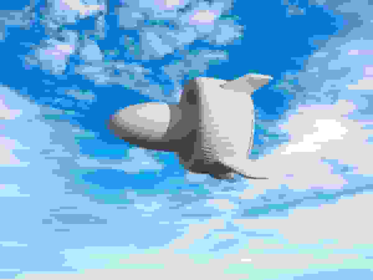 آزمایش موفق بزرگترین توربین بادی هوایی جهان در چین