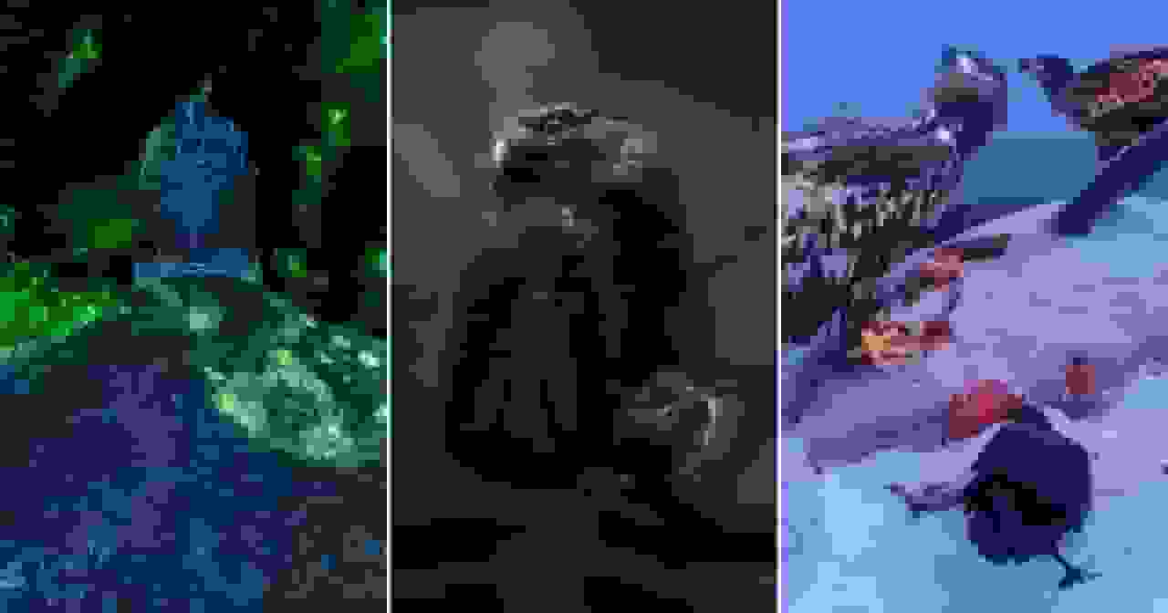 برندگان مسابقه عکاسی حیاتوحش اروپا ۲۰۲۵ اعلام شدند