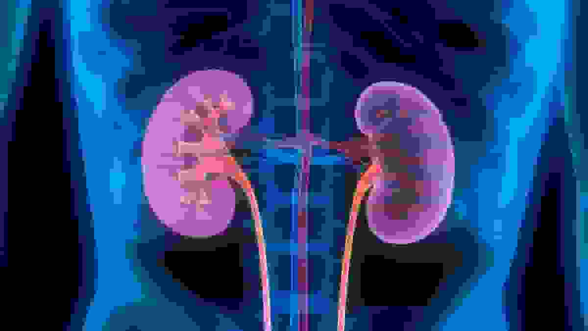 پیشرفت بزرگ در پیوند اعضا: تبدیل کلیه گروه خونی A به O برای اولین بار در انسان