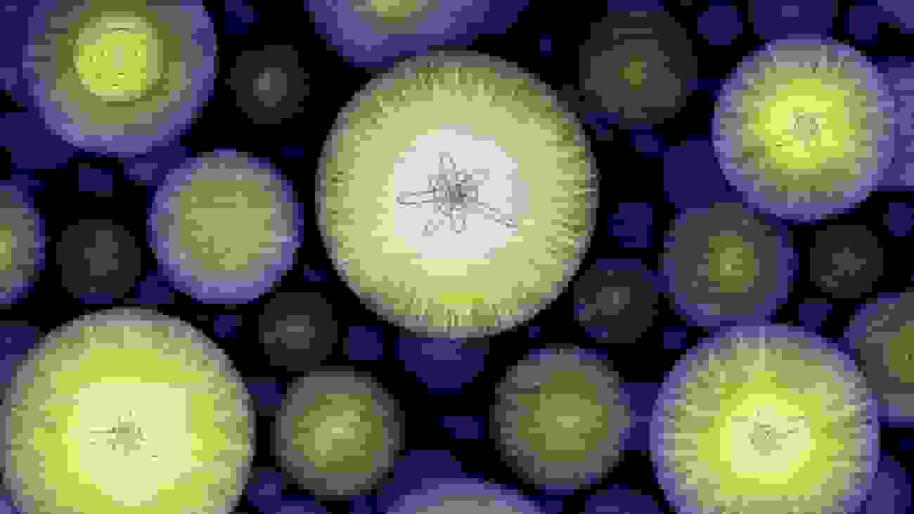 دانشمندان MIT راهی جدید برای مشاهده درون اتمها ابداع کردند