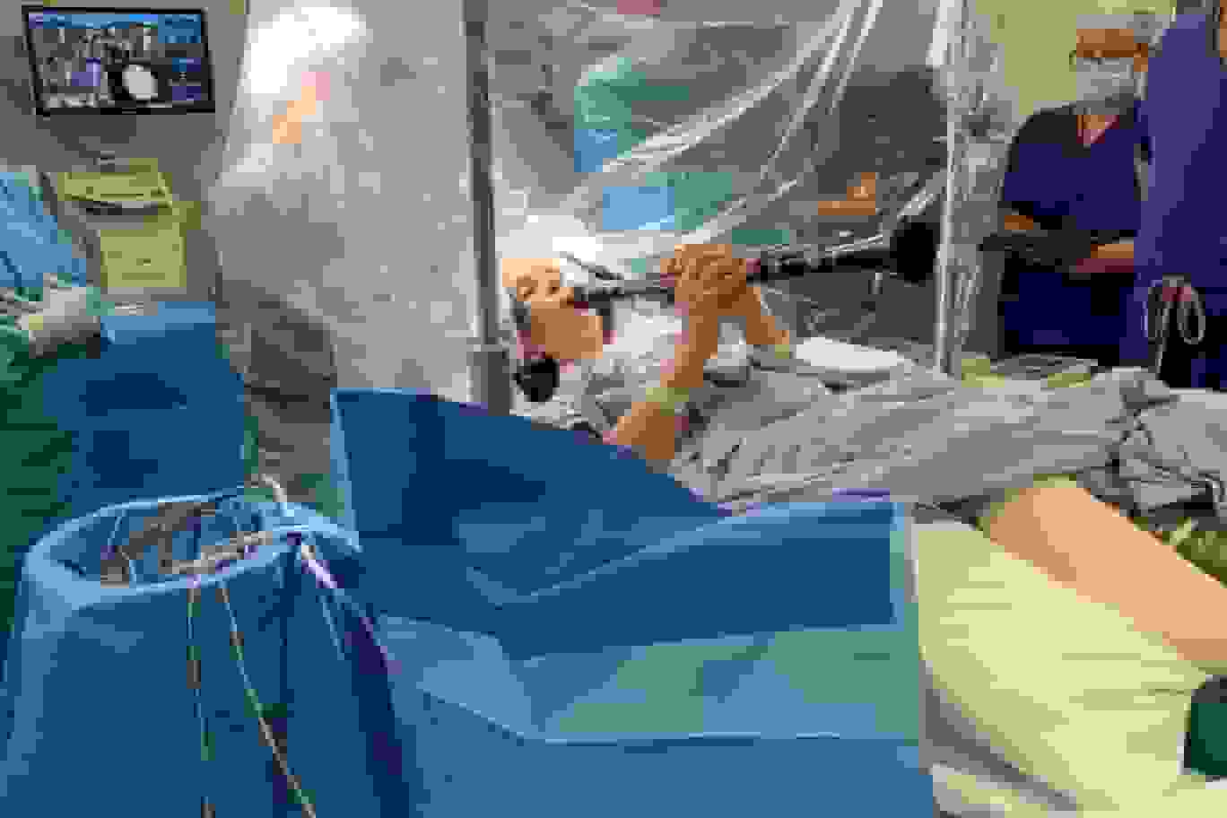 زن مبتلا به پارکینسون حین جراحی مغز کلارینت نواخت