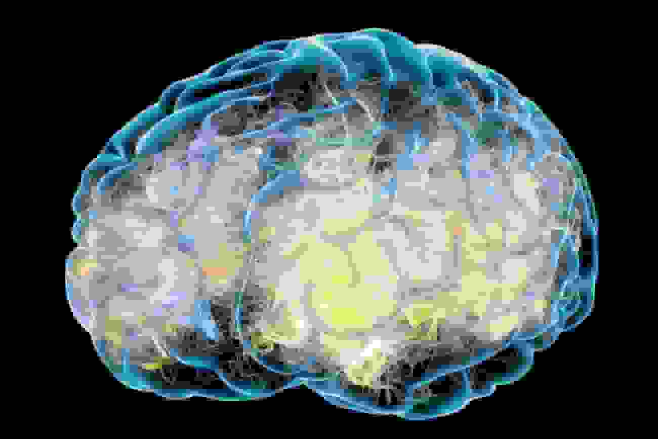 معکوس کردن آلزایمر با نانوذرات در آزمایش حیوانی