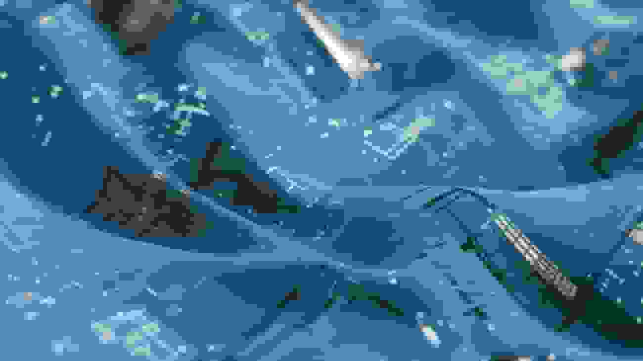 ابداع پارچه هوشمندی که لباس را به دستیار هوش مصنوعی تبدیل میکند