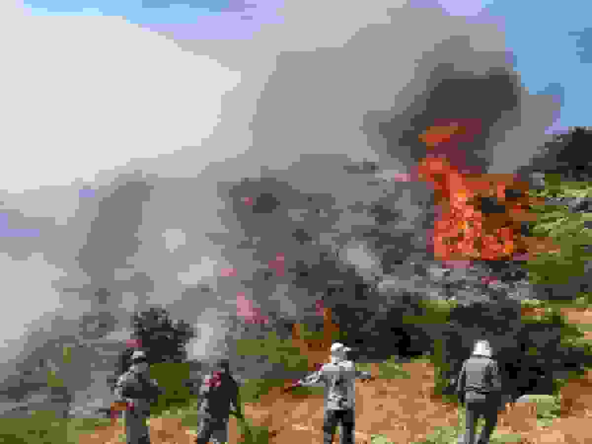 سه هفته جدال با خاکستر؛ آتشسوزی ارتفاعات الیت چگونه آغاز شد و چرا ادامه دارد؟