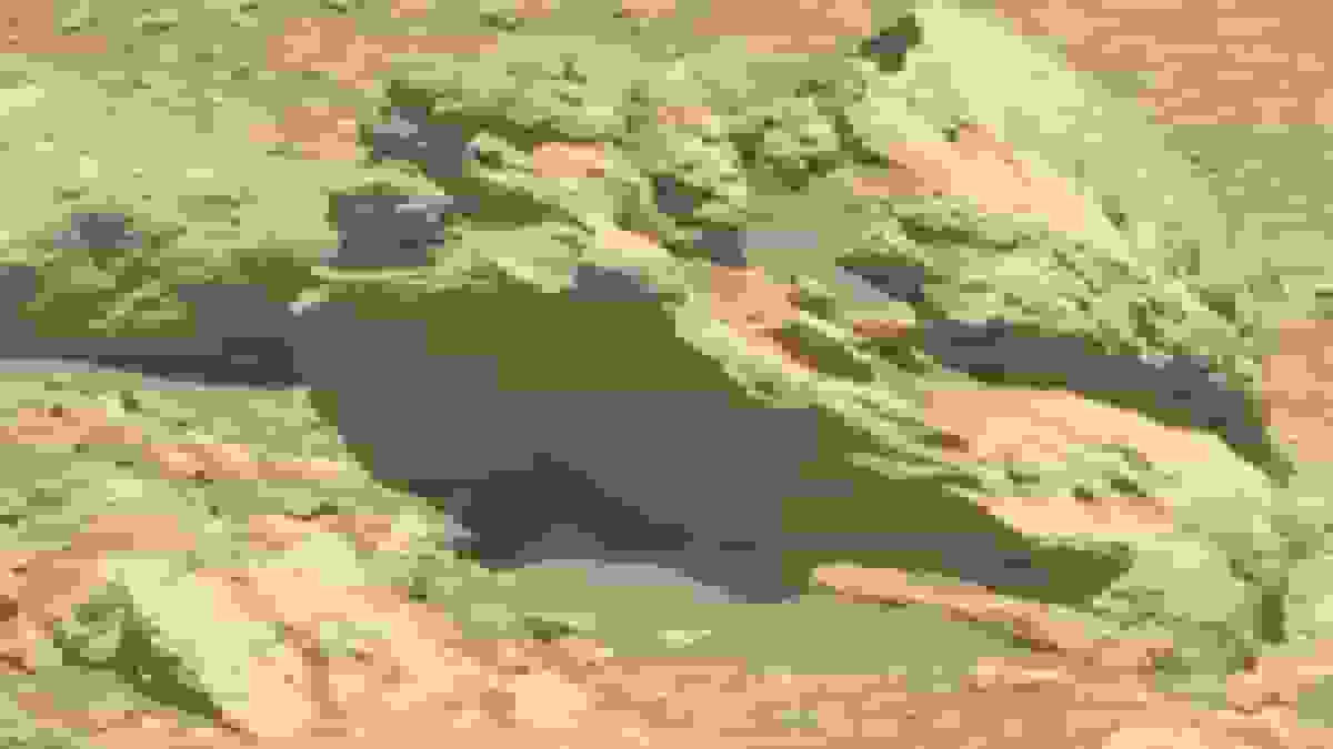 کشف شهابسنگ میانستارهای در مریخ توسط مریخنورد استقامت