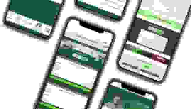 رفتار مالی کاربران ویکی؛ تغییر الگوی دریافت وام خودرو در ایران