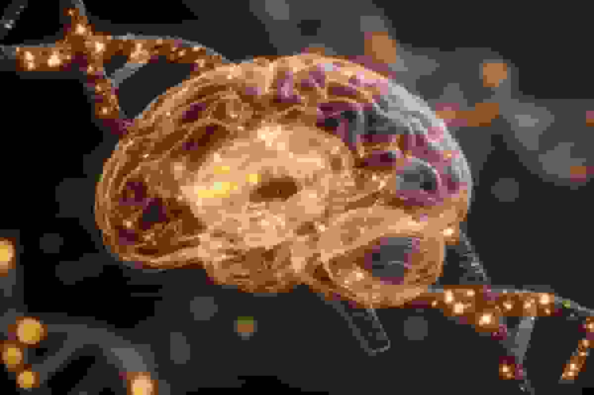 دانشمندان راهی برای بازگرداندن حافظه در افراد مسن پیدا کردهاند