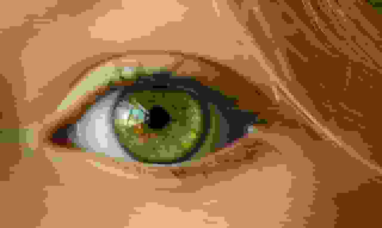 امیدی برای درمان تنبلی چشم؛ دانشمندان MIT راهی برای بازگرداندن بینایی پیدا کردند