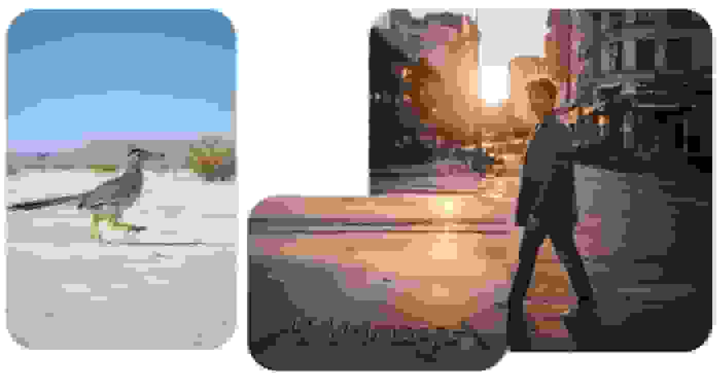 مایکروسافت مدل تصویرساز اختصاصی خود را در بینگ و کوپایلوت عرضه کرد