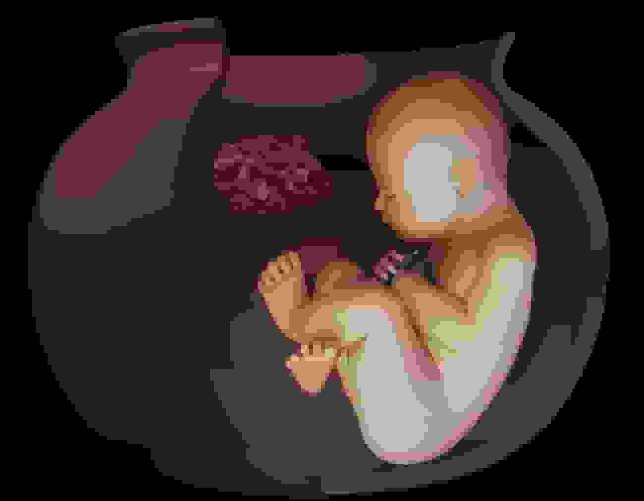 کشف دو جنین ۶۵۰۰ ساله در تپه چپرآباد ایران؛ آیینهای عجیب تدفین ایرانیان باستان