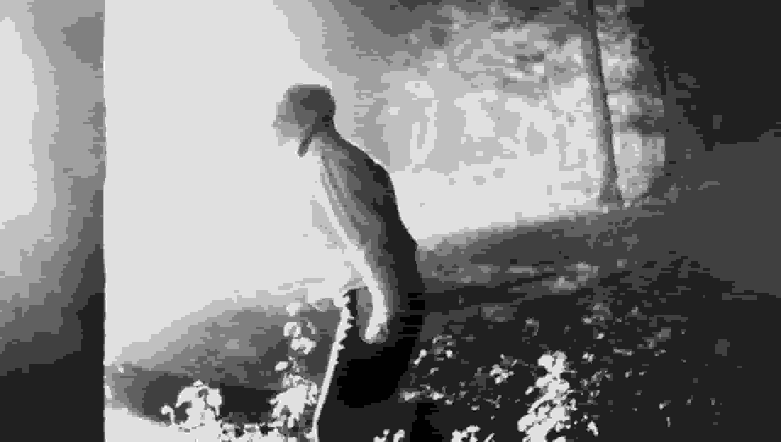 اسکای حق پخش سریال پیشدرآمد Friday the 13th با عنوان Crystal Lake را خریداری کرد