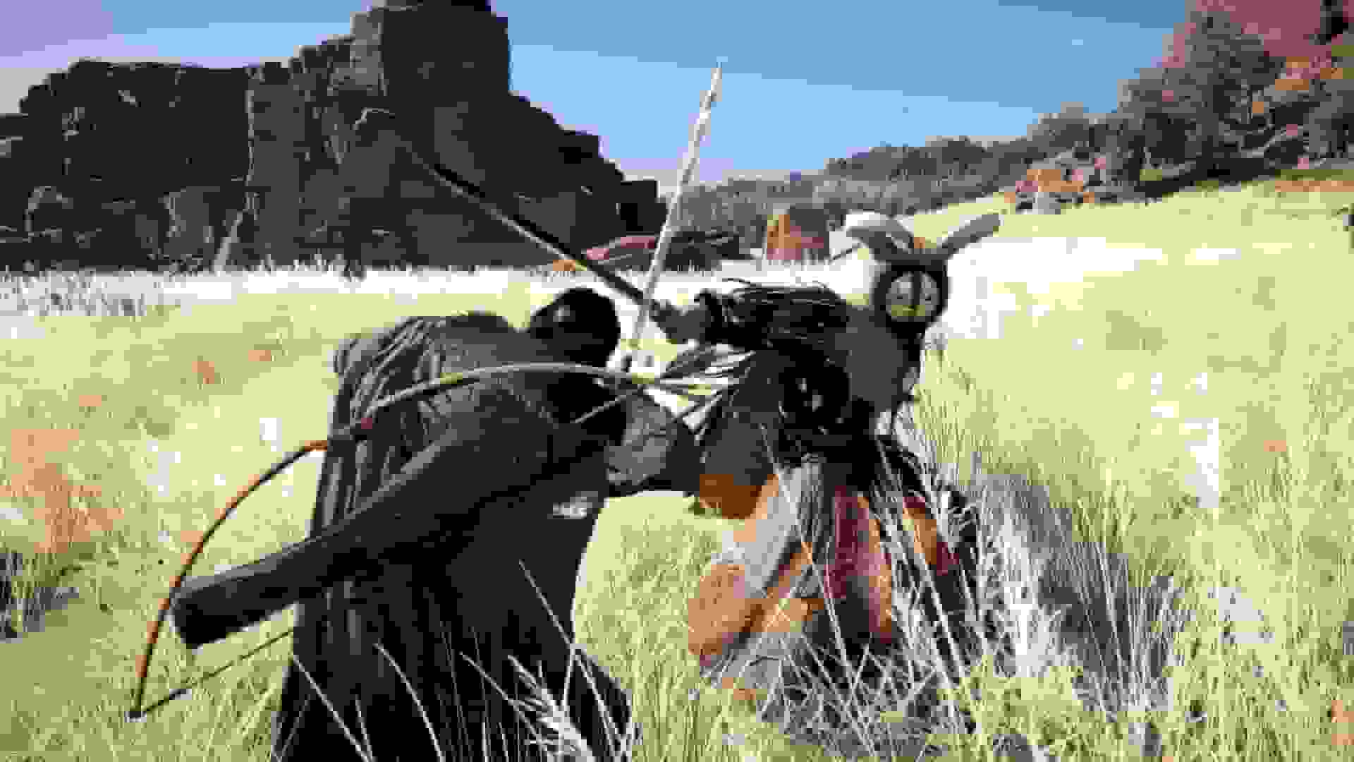 جزئیات جدید فعالیتهای جانبی بازی Crimson Desert مشخص شد