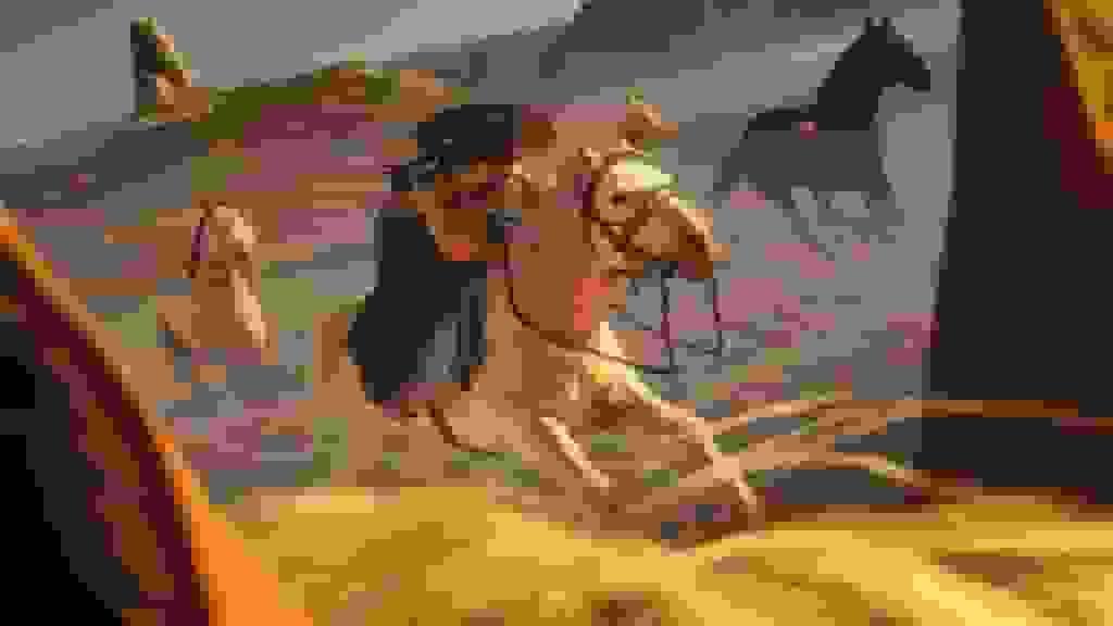 فروش بازی Ghost of Yōtei از Assassin’s Creed Shadows پیشی گرفت