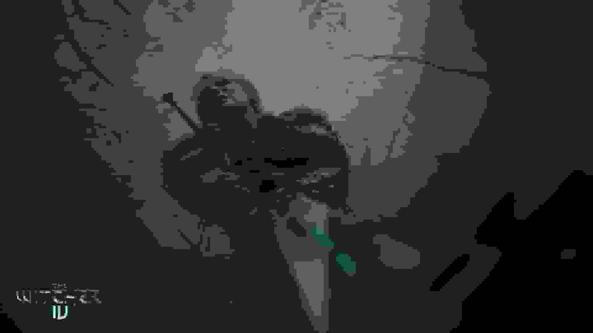 سیدی پراجکت: هیچ نمایشی از ویچر ۴ در گیم آواردز ۲۰۲۵