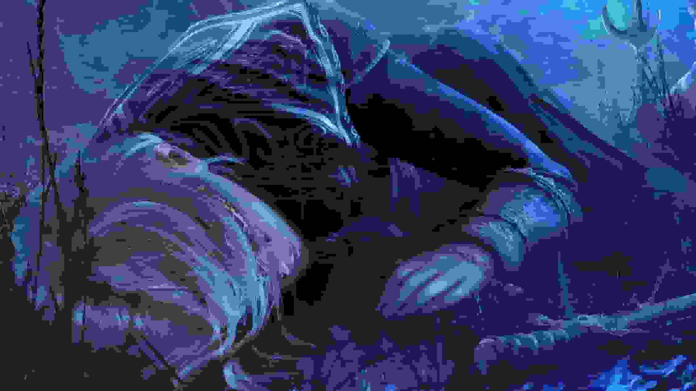 دیالسی جدید برای بازی Elden Ring Nightreign در راه است